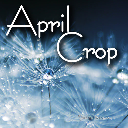April Crop (In Person - April 13)