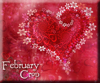 February Crop! (Feb 1)